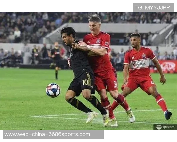 芝加哥与新英格兰对决谁能胜出精彩分析与预测